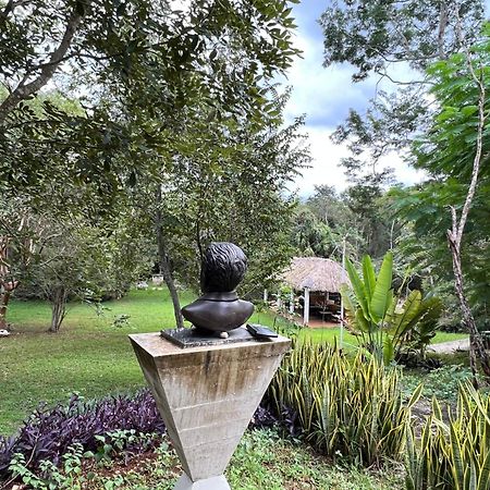 El Encanto - Hotel Boutique Chichén-Itzá エクステリア 写真
