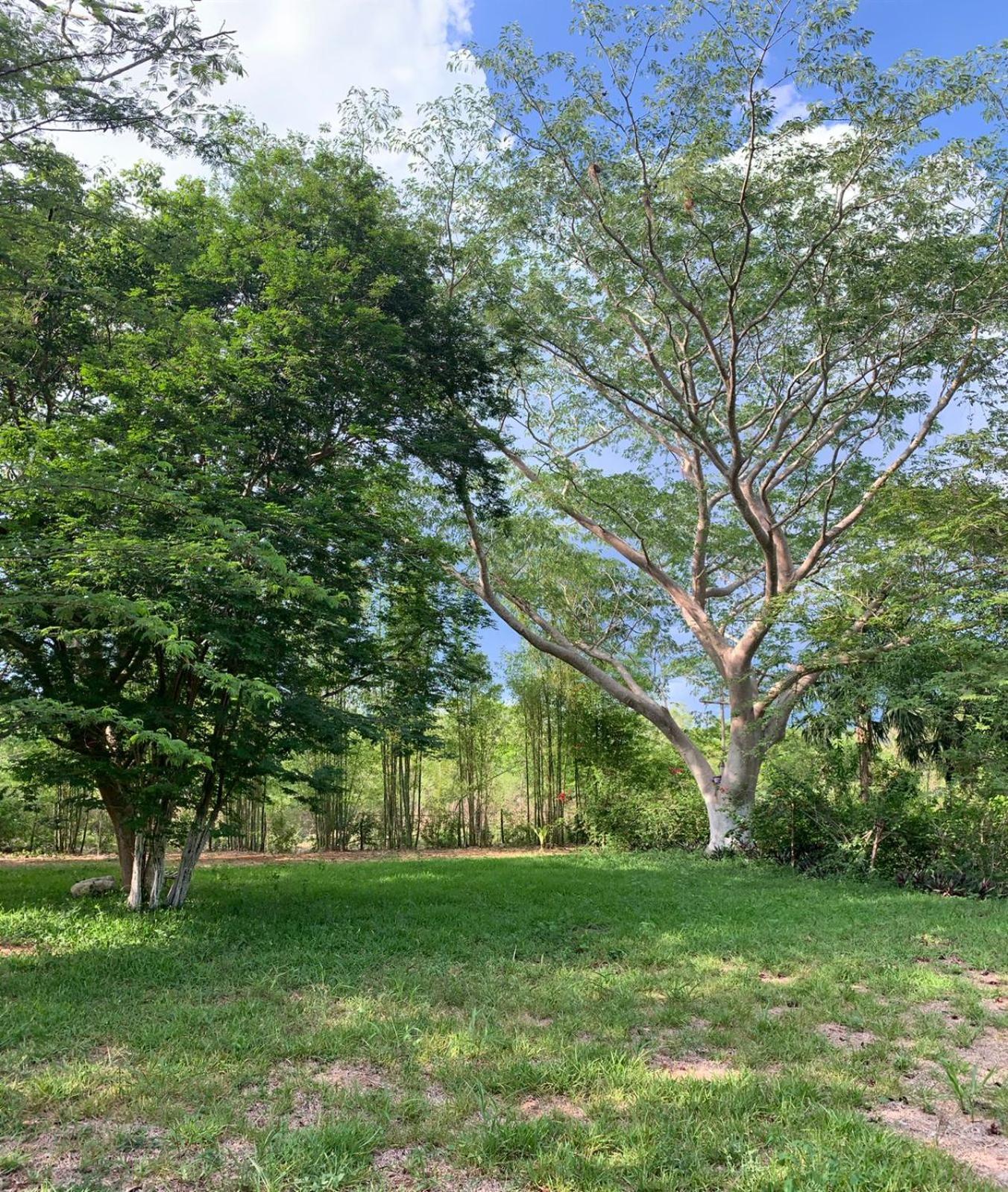 El Encanto - Hotel Boutique Chichén-Itzá エクステリア 写真